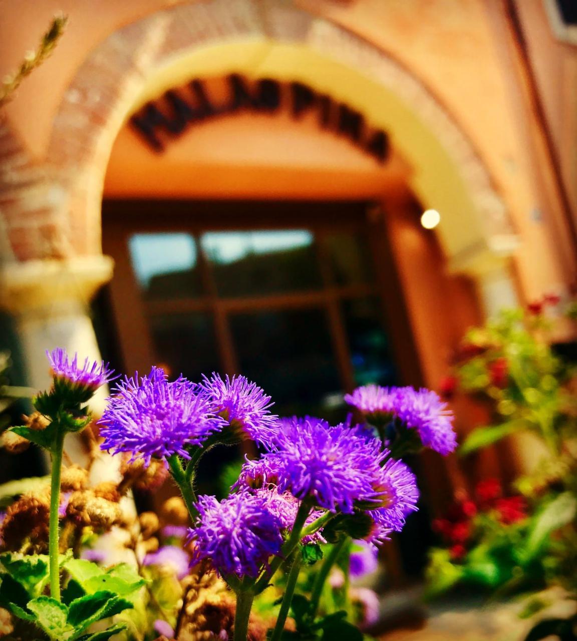 Boutique Hotel Corte Malaspina 카스텔누보델가다 외부 사진